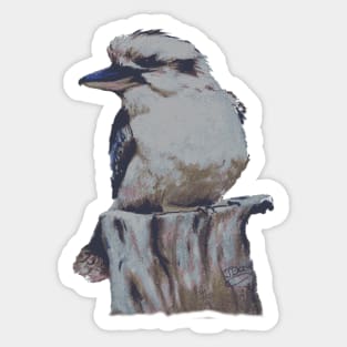 Gorgeous Kookaburra Australian Native Bird Sticker